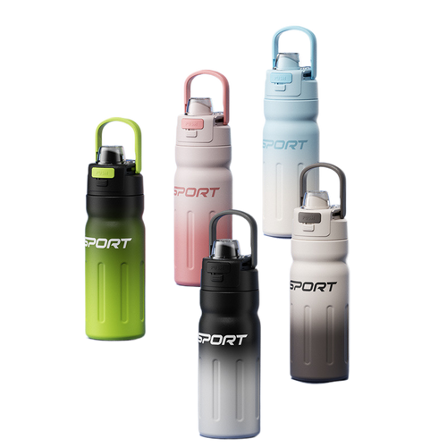 Double-swing lid insulated bottle